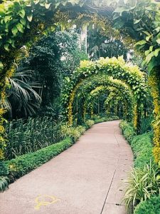 Botanical Gardens, Singapur