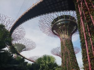 Gardens of the Bay, Singapur