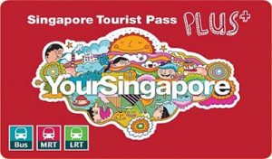 Tourist Pass Card, Singapore