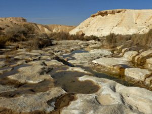 Trekking Ein Akev, desierto de Neguev, Israel