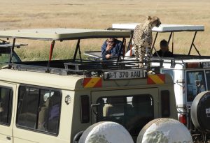 Masai Mara, Kenia