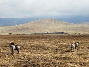 Cráter Ngorongoro, Tanzania