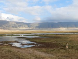 Cráter Ngorongoro, Tanzania