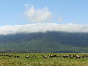 Cráter Ngorongoro, Tanzania