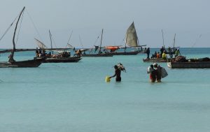 Dhows, Zanzíbar